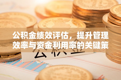 泰武公积金绩效评估，提升管理效率与资金利用率的关键策略