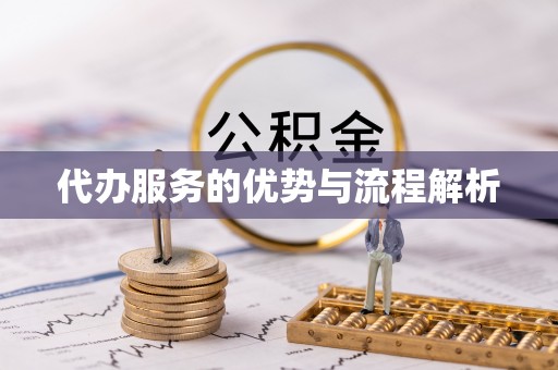 泰武代办服务的优势与流程解析