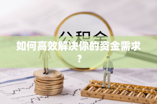 泰武如何高效解决你的资金需求？