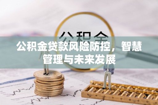 泰武公积金贷款风险防控，智慧管理与未来发展