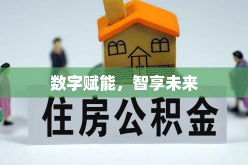 泰武数字赋能，智享未来