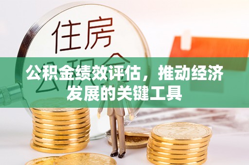 泰武公积金绩效评估，推动经济发展的关键工具
