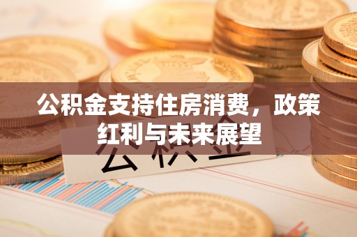 泰武公积金支持住房消费，政策红利与未来展望