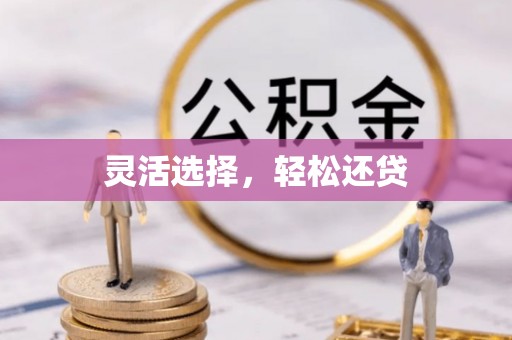泰武灵活选择，轻松还贷