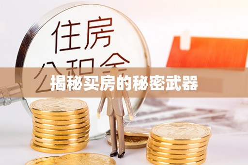 泰武揭秘买房的秘密武器