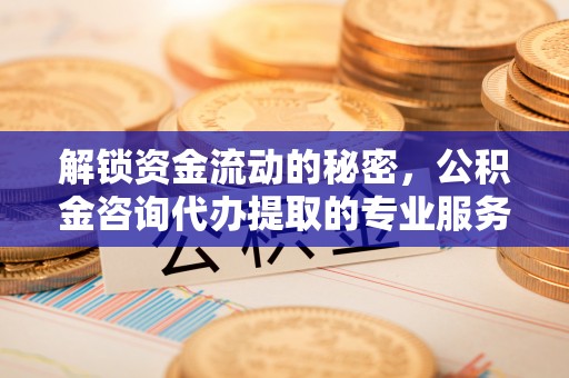 泰武解锁资金流动的秘密，公积金咨询代办提取的专业服务