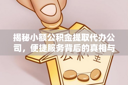 泰武揭秘小额公积金提取代办公司，便捷服务背后的真相与选择指南