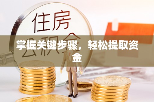 泰武掌握关键步骤，轻松提取资金