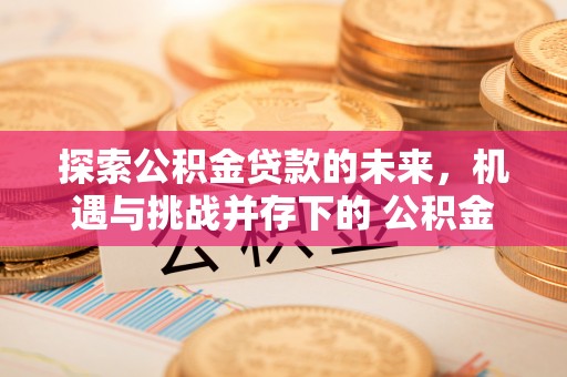 泰武探索公积金贷款的未来，机遇与挑战并存下的 公积金贷款风险防控