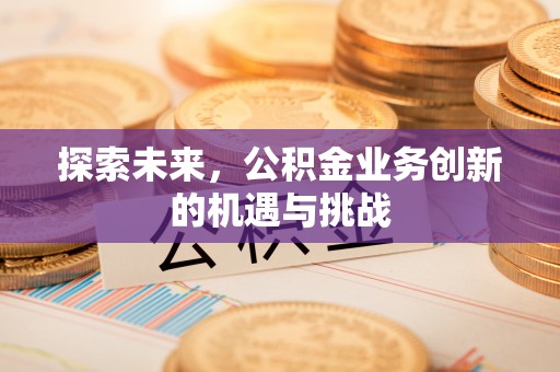 泰武探索未来，公积金业务创新的机遇与挑战