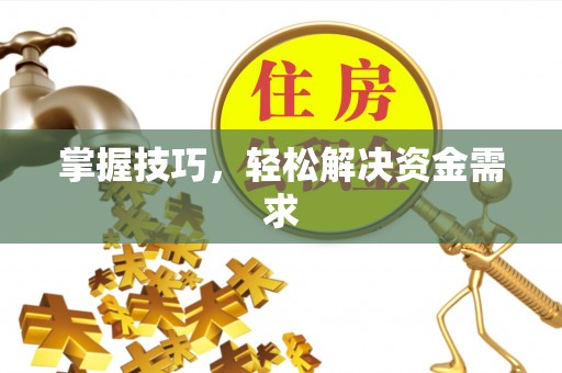 泰武掌握技巧，轻松解决资金需求