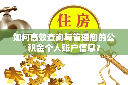 泰武如何高效查询与管理您的公积金个人账户信息？