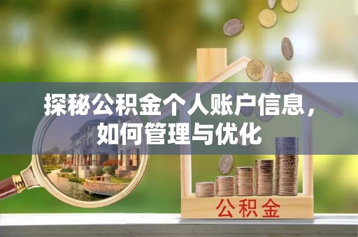 泰武探秘公积金个人账户信息，如何管理与优化