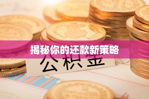 泰武揭秘你的还款新策略