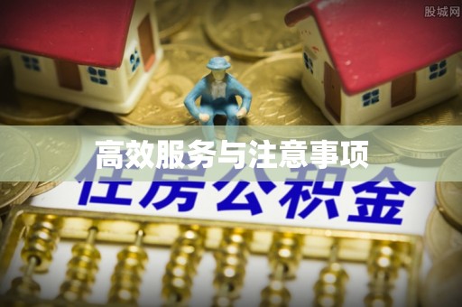 泰武高效服务与注意事项