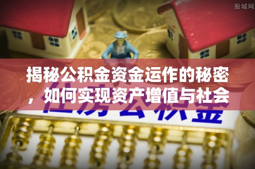 泰武揭秘公积金资金运作的秘密，如何实现资产增值与社会福利双赢？