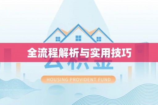 泰武全流程解析与实用技巧