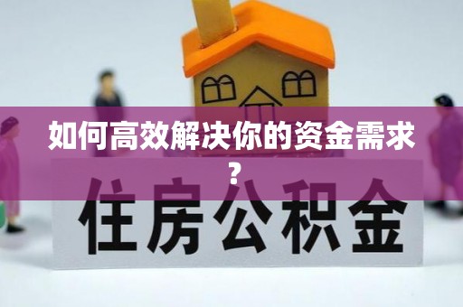 泰武如何高效解决你的资金需求？