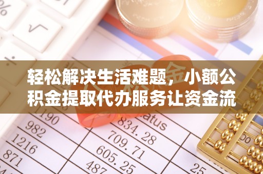 泰武轻松解决生活难题，小额公积金提取代办服务让资金流动更便捷