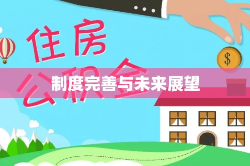 泰武制度完善与未来展望