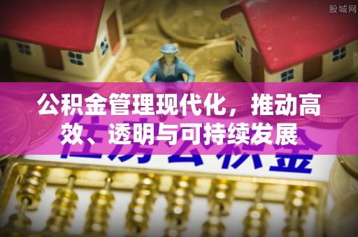 泰武公积金管理现代化，推动高效、透明与可持续发展