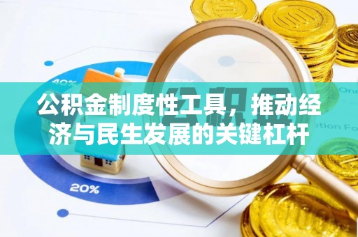 泰武公积金制度性工具，推动经济与民生发展的关键杠杆