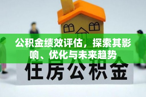 泰武公积金绩效评估，探索其影响、优化与未来趋势
