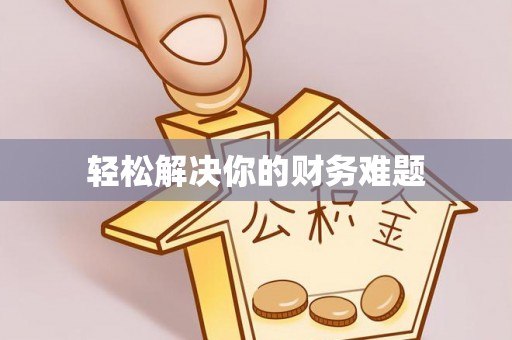 泰武轻松解决你的财务难题