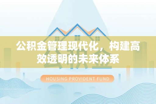 泰武公积金管理现代化，构建高效透明的未来体系