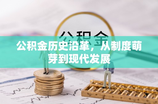 泰武公积金历史沿革，从制度萌芽到现代发展