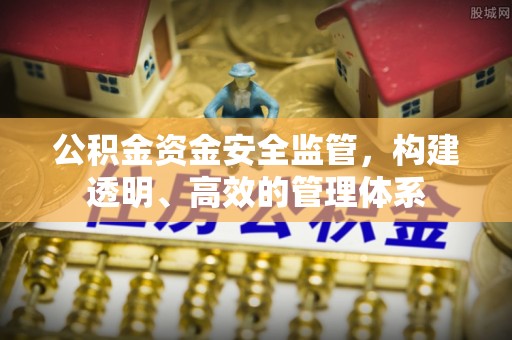 泰武公积金资金安全监管，构建透明、高效的管理体系