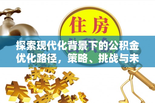 泰武探索现代化背景下的公积金优化路径，策略、挑战与未来展望
