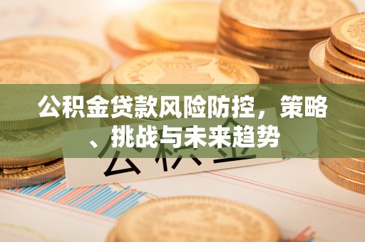 泰武公积金贷款风险防控，策略、挑战与未来趋势