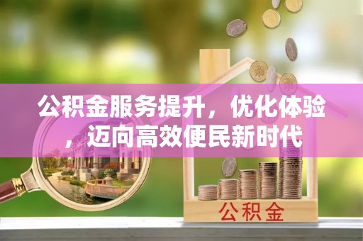 泰武公积金服务提升，优化体验，迈向高效便民新时代