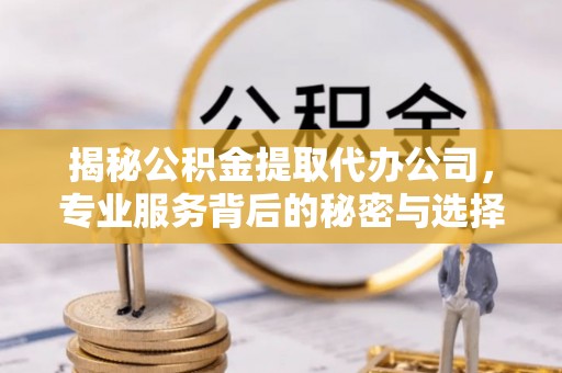 泰武揭秘公积金提取代办公司，专业服务背后的秘密与选择指南