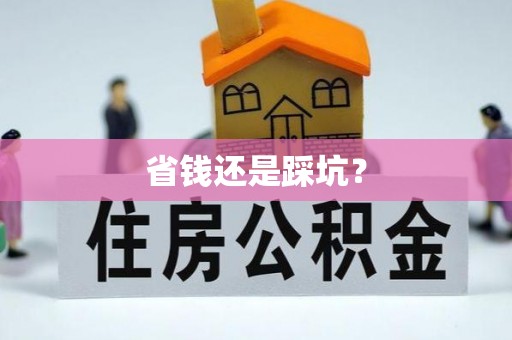 泰武省钱还是踩坑？