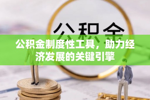 泰武公积金制度性工具，助力经济发展的关键引擎