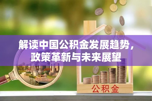 泰武解读中国公积金发展趋势，政策革新与未来展望