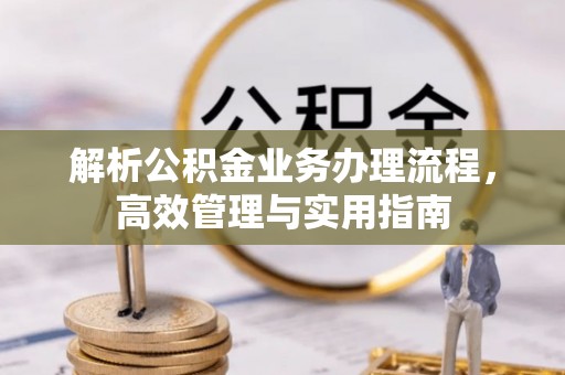 泰武解析公积金业务办理流程，高效管理与实用指南