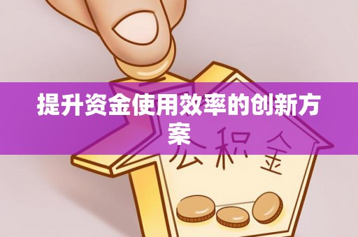 泰武提升资金使用效率的创新方案