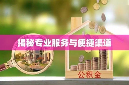 泰武揭秘专业服务与便捷渠道