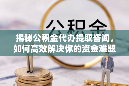 泰武揭秘公积金代办提取咨询，如何高效解决你的资金难题