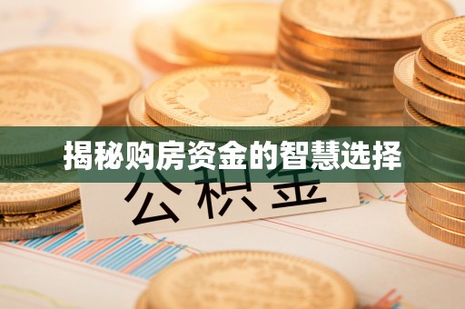 泰武揭秘购房资金的智慧选择
