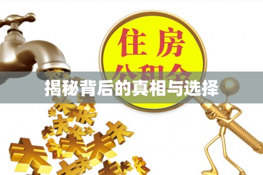 泰武揭秘背后的真相与选择