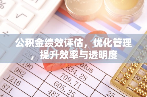 泰武公积金绩效评估，优化管理，提升效率与透明度