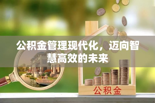 泰武公积金管理现代化，迈向智慧高效的未来