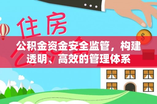 泰武公积金资金安全监管，构建透明、高效的管理体系