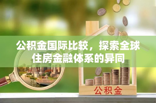 泰武公积金国际比较，探索全球住房金融体系的异同