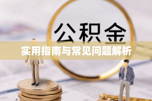 泰武实用指南与常见问题解析