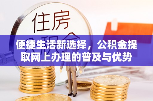 泰武便捷生活新选择，公积金提取网上办理的普及与优势